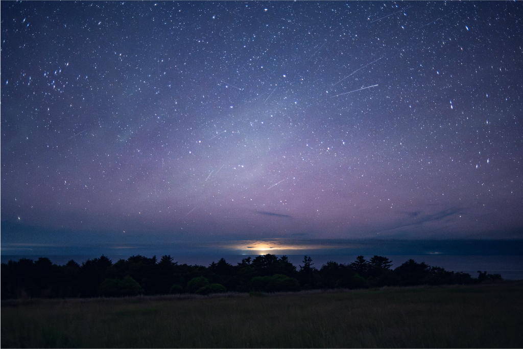 第7回撮影ポイントランキング年間グランプリ展準グランプリ作品