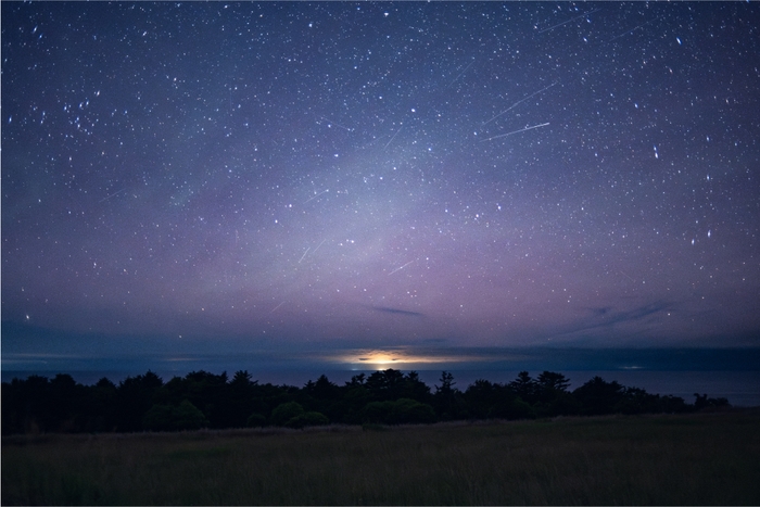 第7回撮影ポイントランキング年間グランプリ展準グランプリ作品