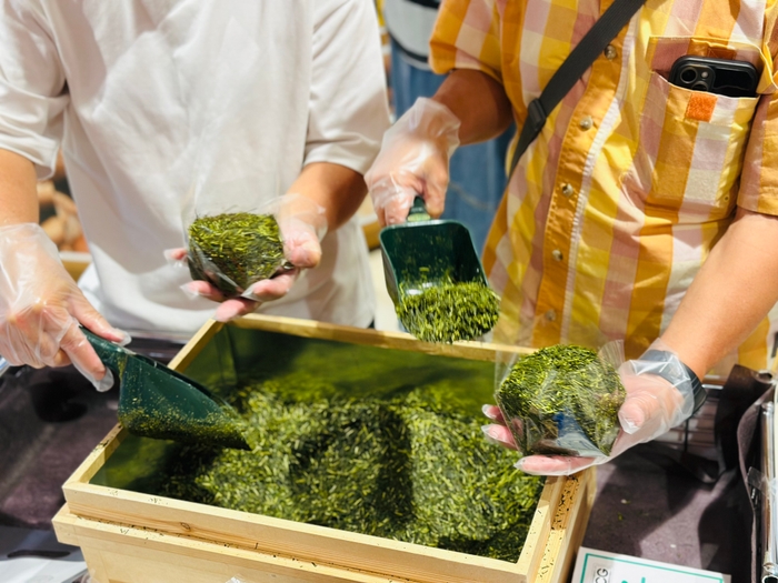 南部茶 詰め放題