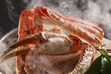 冬の日本海へ赴く理由がここに。荒波の恵みを味わう2カ月限定・最大15,000円OFF 新春初旅キャンペーン｜海の京都・夕日ヶ浦温泉『一望館 はなれ櫂』