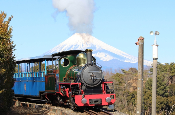 英国製15インチエージのロムニー鉄道