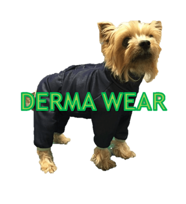 DERMA WEAR（ダーマウェア）
