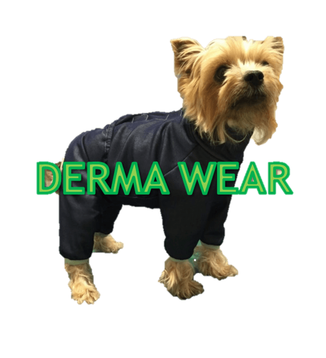 DERMA WEAR（ダーマウェア）