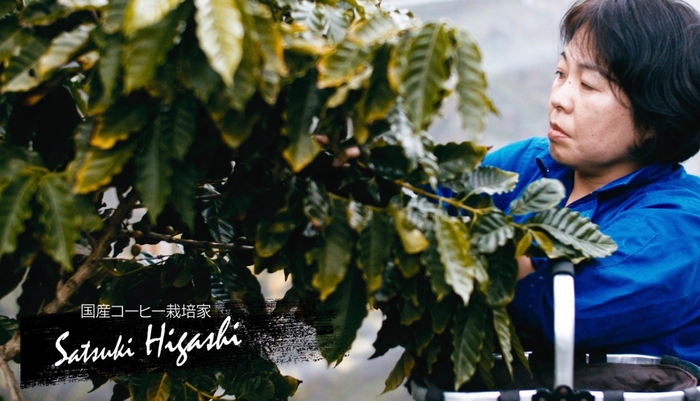 コーヒー栽培家 東さつき