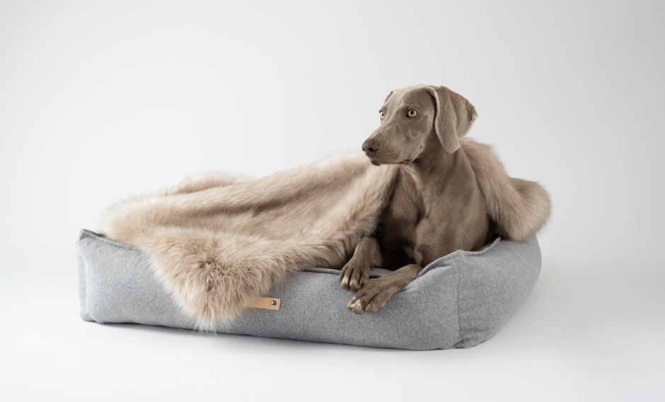 コンセプト内写真2