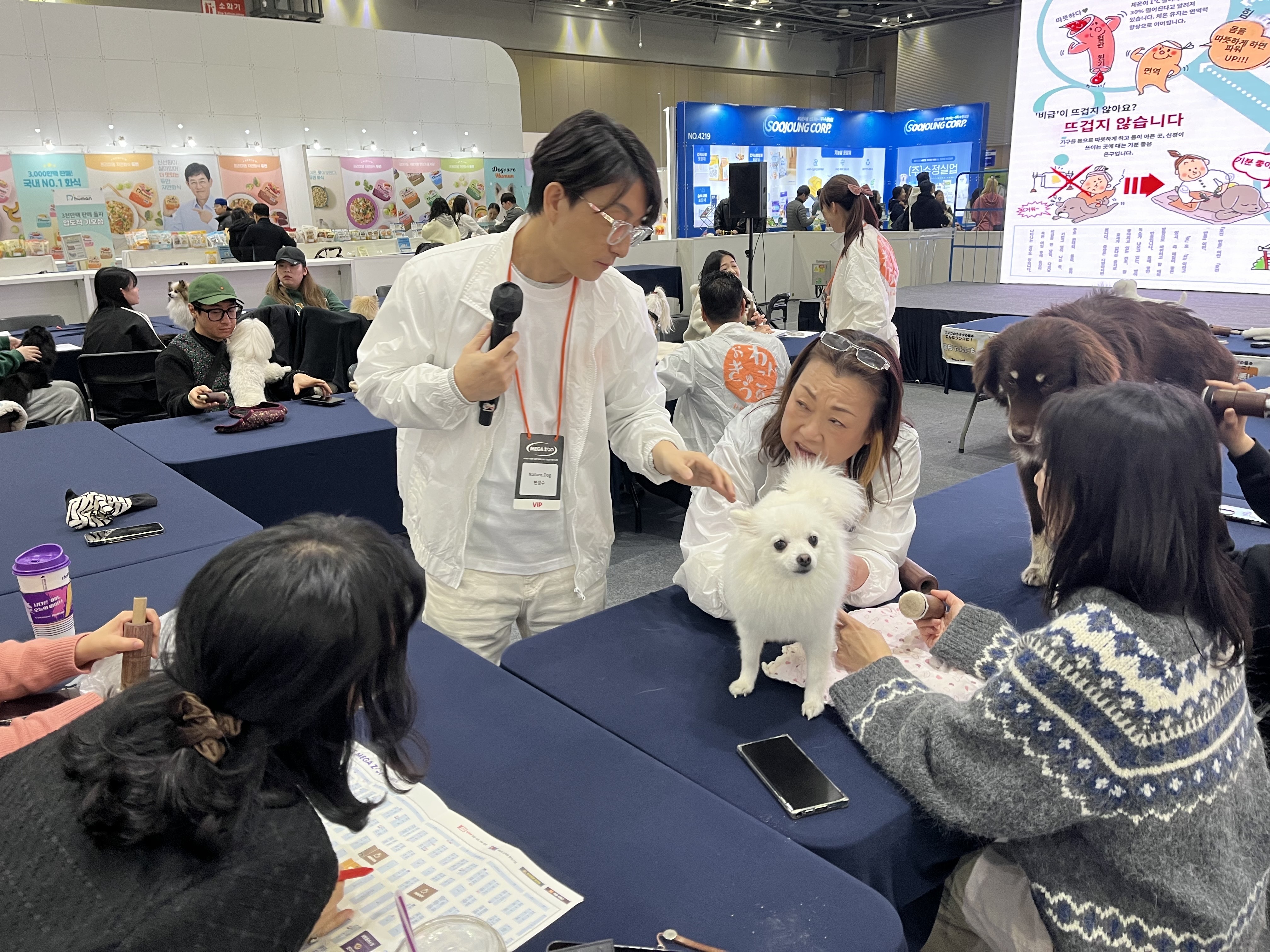 韓国MEGAZOOセミナー風景