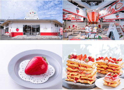 道の駅伊豆のへそ　いちごBonBonBERRY 伊豆の国factory
