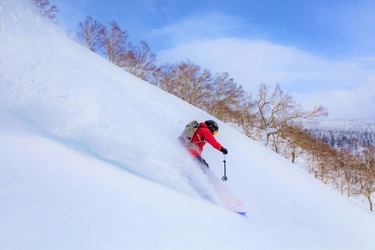 星野リゾート　OMO７ 旭川 世界中がうらやむパウダースノー「JAPOW」に魅せられたアナタに朗報！  2月16日「スキーヤーと街の交流会」を開催