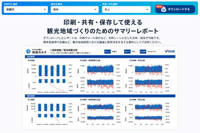 PDF サマリー版(A3形式)のイメージ