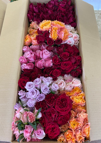 花染花馥研究所に送られる箱にいっぱいバラたち