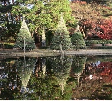 雪吊り（過去の様子）