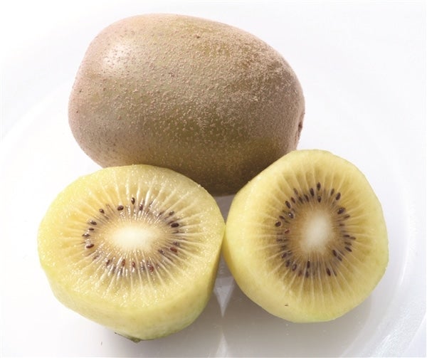 甘くておいしいキウイフルーツ! 福岡県産「博多甘うぃ」が産地直送通販サイト「JAタウン」で販売中!