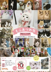 猫写真展「もふあつめ展」が宮城県の仙台フォーラスで 2月18日(土)～3月26日(日)に開催！ 猫写真や猫作品約600点が大集合