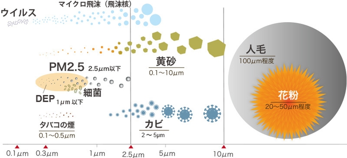 粒子の大きさ比較図