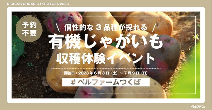 有機じゃがいも収穫体験イベントイメージ画像①