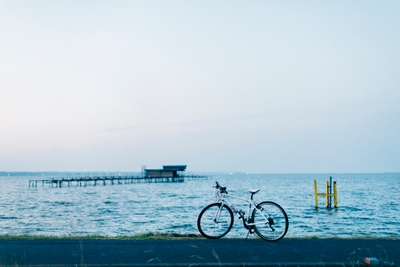 photo3 霞ヶ浦サイクリング