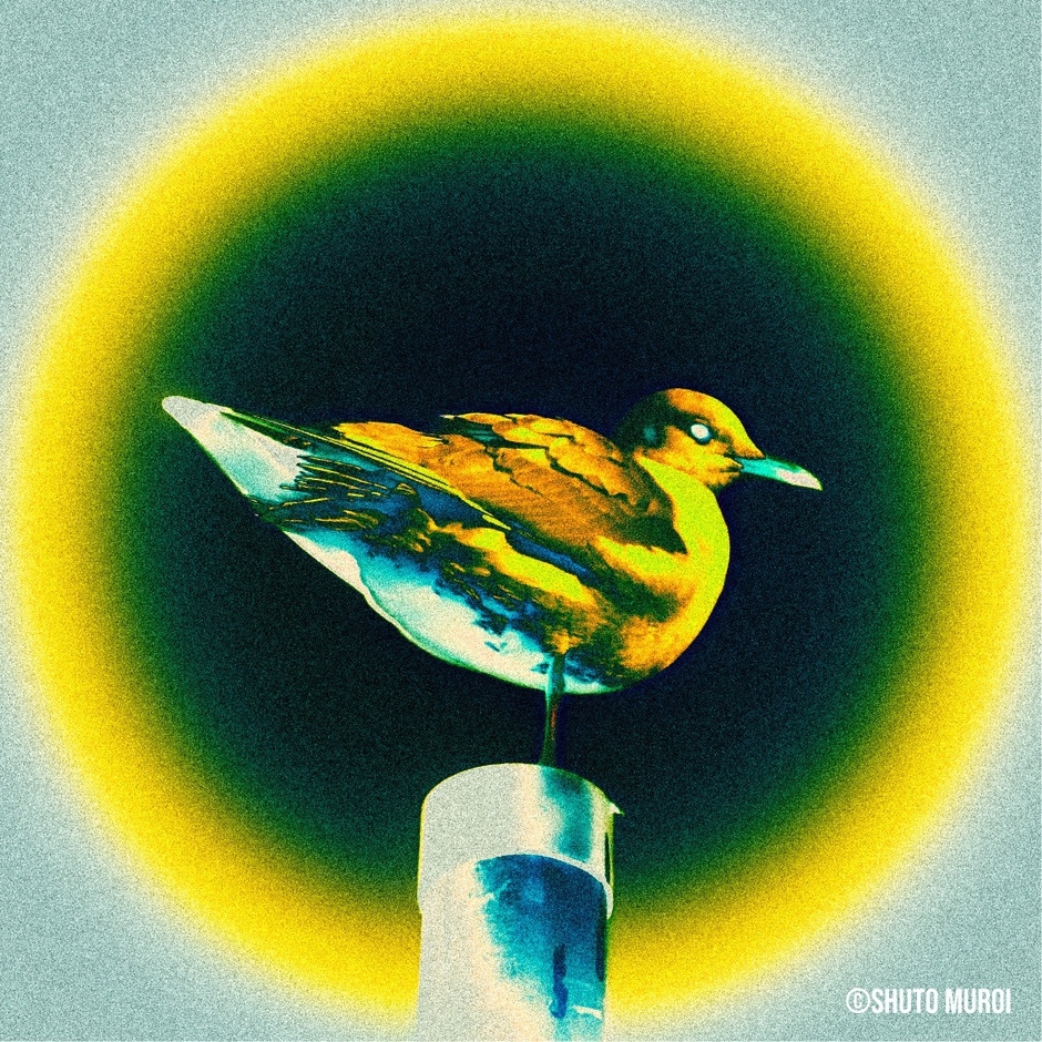 Apa award 2026 写真部門