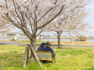 minoru504撮影場所：大島小松川公園