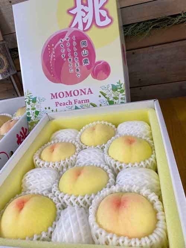 リターンの商品 白桃