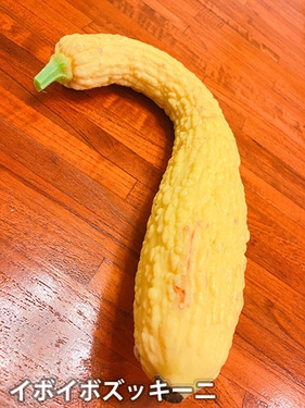 イボイボズッキーニ