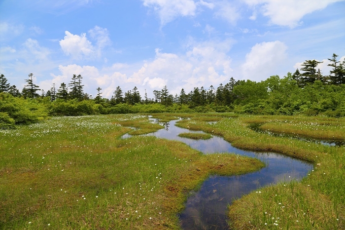 池塘の深さや大きさは様々