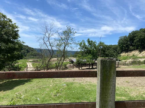 「大和牛」の牧場風景