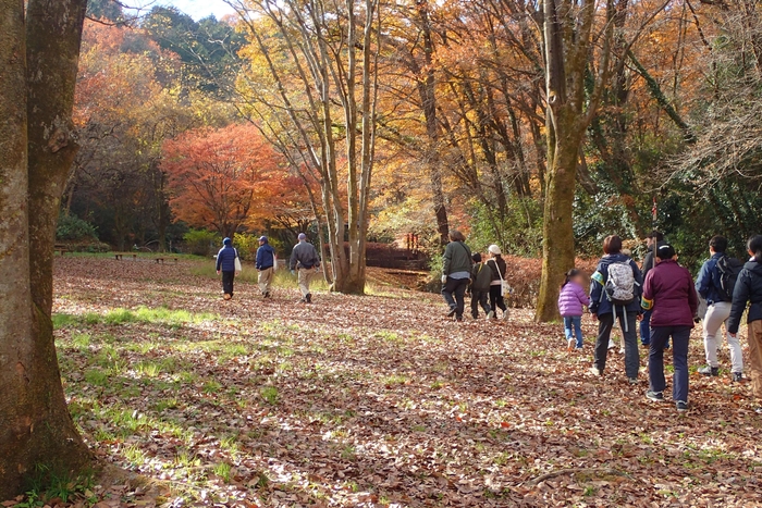 みんなで材料探しに出発！　