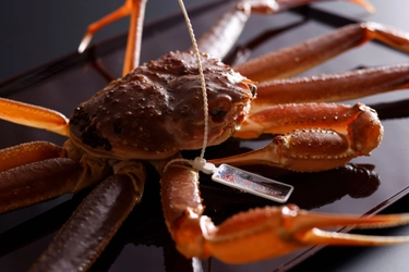 3月31日、蟹旅の締めくくりに。うまい料理と、静かな夜を。｜海の京都・夕日ヶ浦温泉「一望館 はなれ櫂」