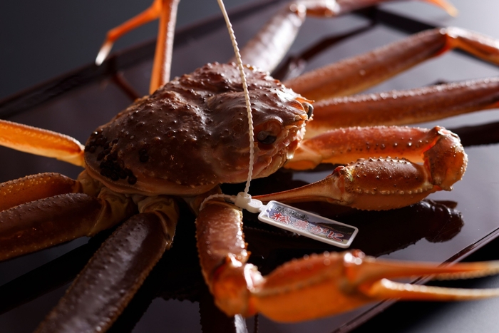 食の宝庫・丹後の冬を象徴する高級食材「松葉蟹」