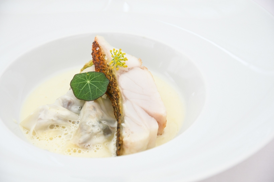 魚料理「福江港より直送の鮮魚 すっぽん ソースブールドナージュ」