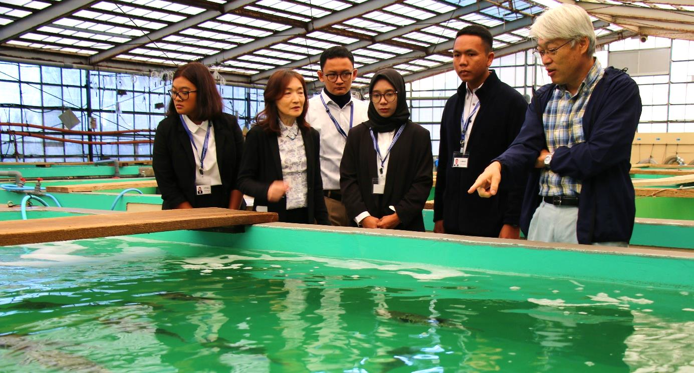 近畿大学水産研究所・水産養殖種苗センターが国際貢献 インドネシア企業の社員が3カ月間にわたり養殖技術を学ぶ