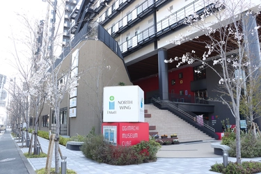 歴史継承と環境共生を支える「さくらサポーター」募集開始