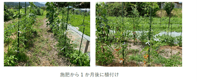 生育状況