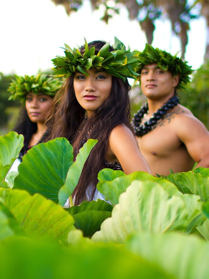 ポリネシアンダンス(イメージ)