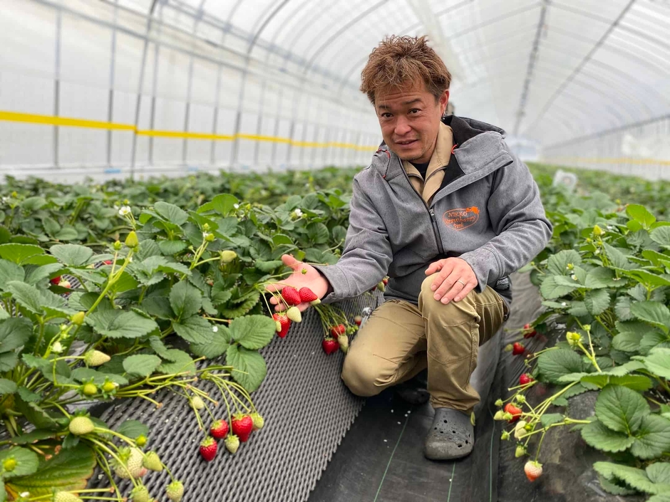 日光ストロベリーパーク 代表 沼尾 浩明氏