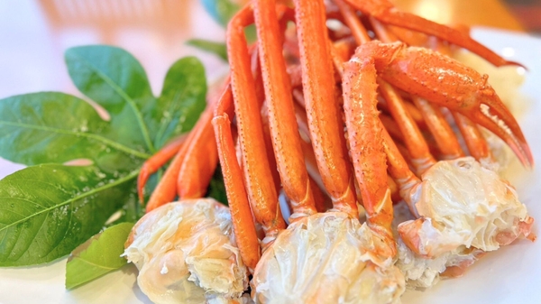 冬グルメの醍醐味《ずわいガニ》を心行くまで堪能！