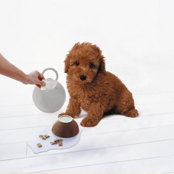 ペットのケアにもおすすめ