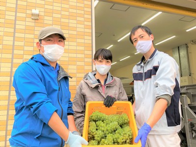 収穫