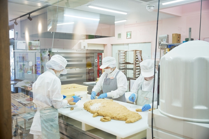 見学ルートから見た様子