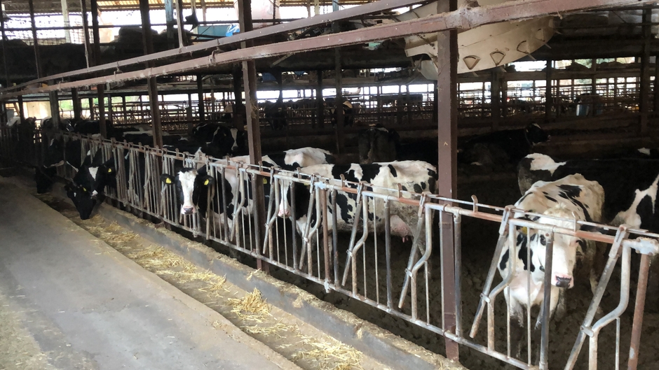 六甲ビール SDGsへの取り組み