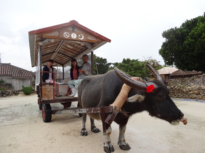 ホリスティックな休日/TM & (c)2014 Turner Japan