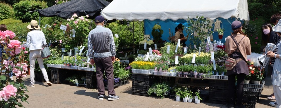 ロゼマルシェ(令和4年撮影)