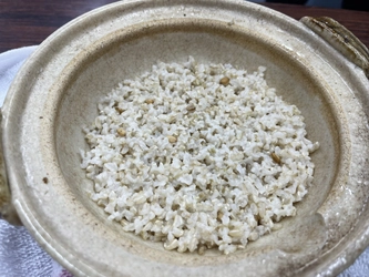 屋内の特注LED環境で在来種陸稲が結実