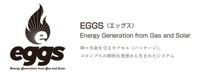 災害時の電源確保、高まるBCPニーズに低コストで対応　 「LPガス＋太陽光ハイブリッド発電システム(EGGS)」を商品化