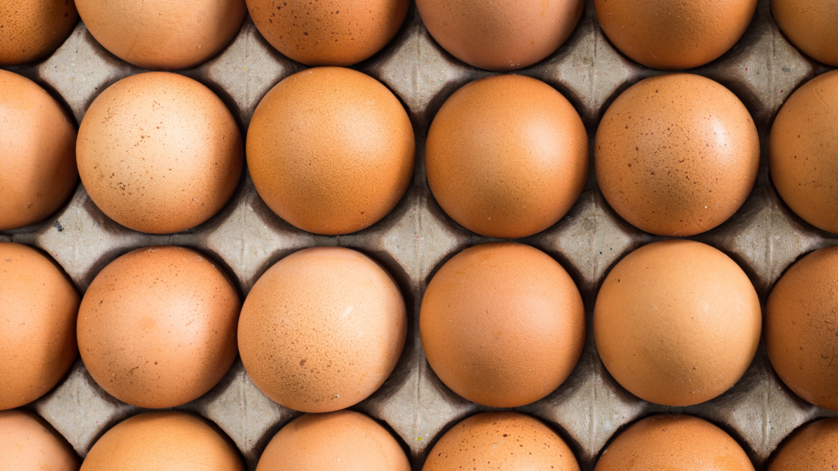 成形パルプ包装の市場規模は2028年までに55.2億米ドルに達する見込み