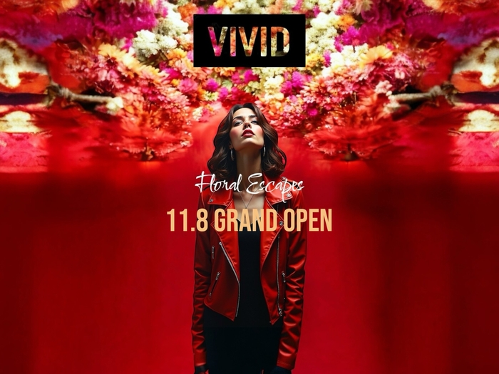 「VIVID」のメイン画像