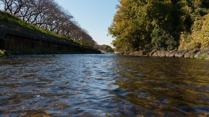 柳瀬川