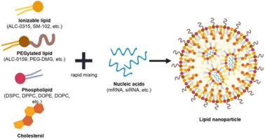 出典：二次資料およびYHResearch、2025年