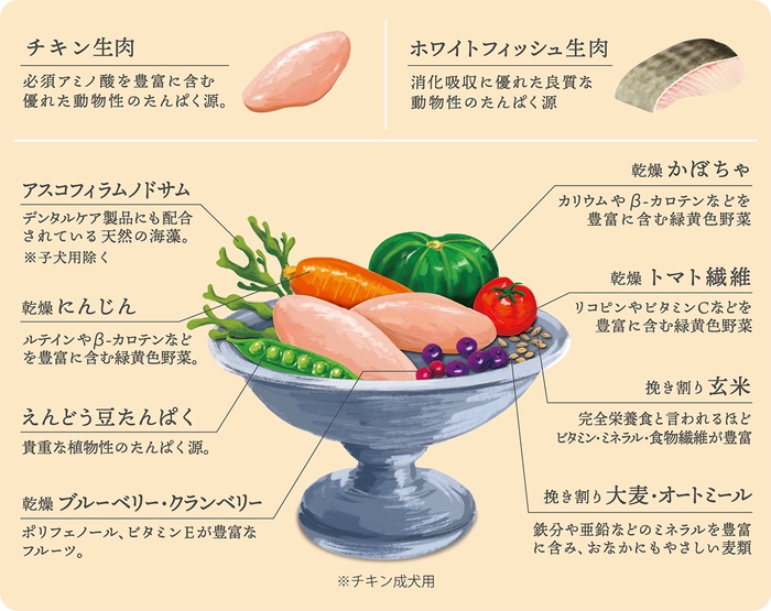 パウレ原材料:機能性食材