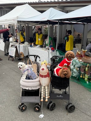 12月開催のわんこフェスタin富岡の様子